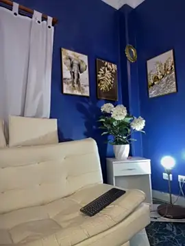 NovaFoxx 现场XXX聊天