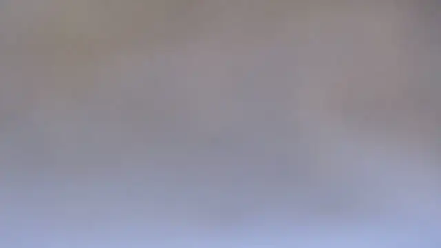 KarimaSarabe – webcam-show