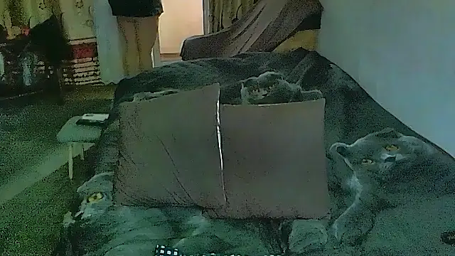 Chat +18 de sex2 ao vivo