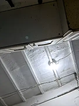 ODBdirtypapi Webcam-Show