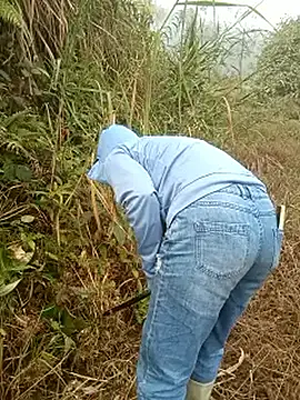 XXX chat uživo modela nangmo