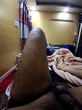 SingleTest Pertunjukan Webcam