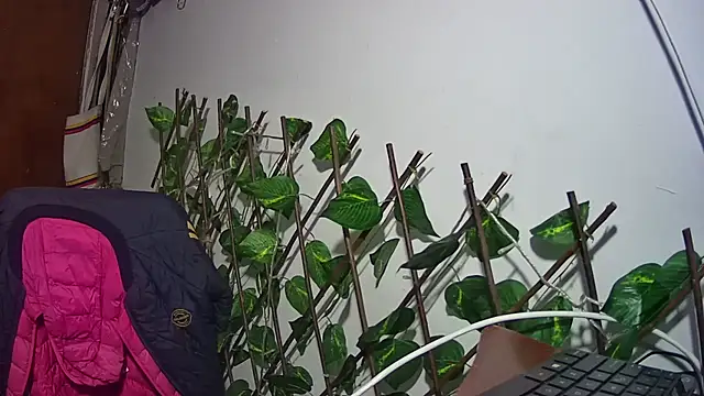 nicoltatiana_ live XXX chat