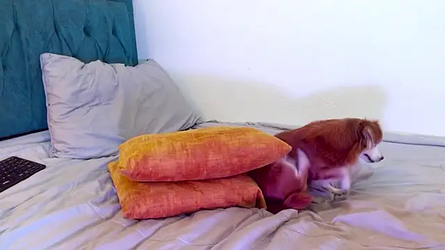 XXX chat uživo modela cedrixx10