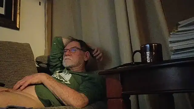 Pertunjukan Kamera Web CDforU