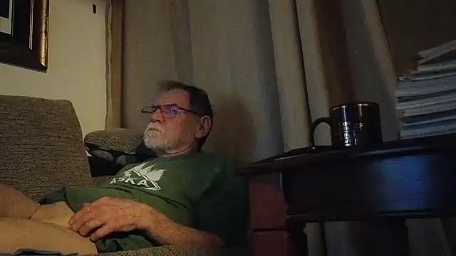 Show webcam de CDforU