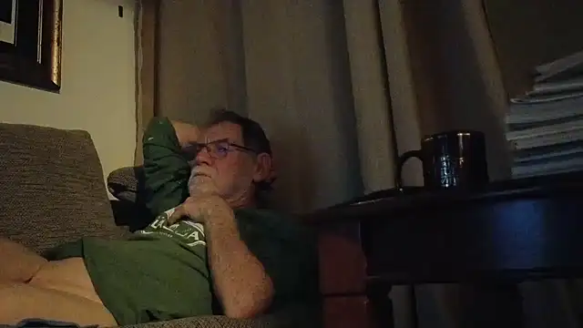 Show Webcam de CDforU