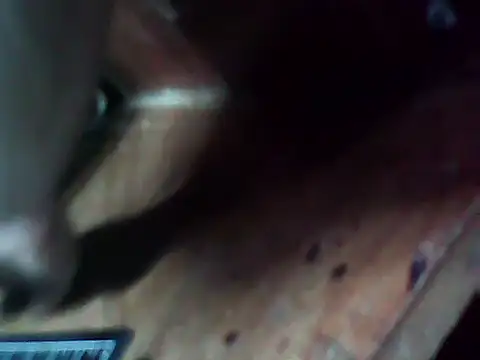 20cmloiro webcam show