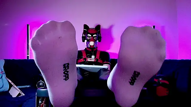 K9_GoodBoy Pertunjukan Webcam