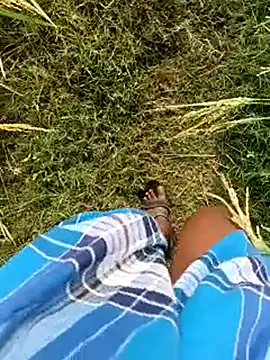 dolphiinn Show Webcam