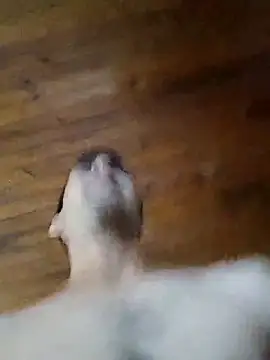 Elverguditojaja 网络视讯表演