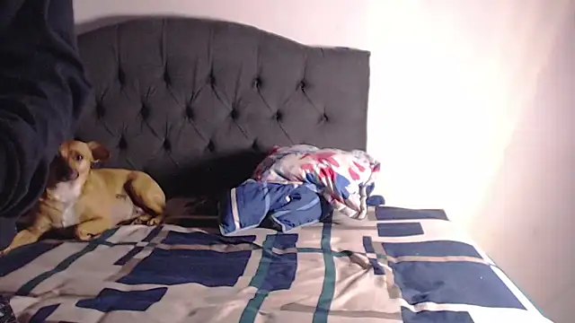 harry_greg21 Live XXX-Chat