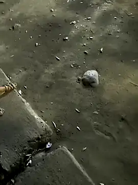 Datoka_adrenaline webkamerás műsora