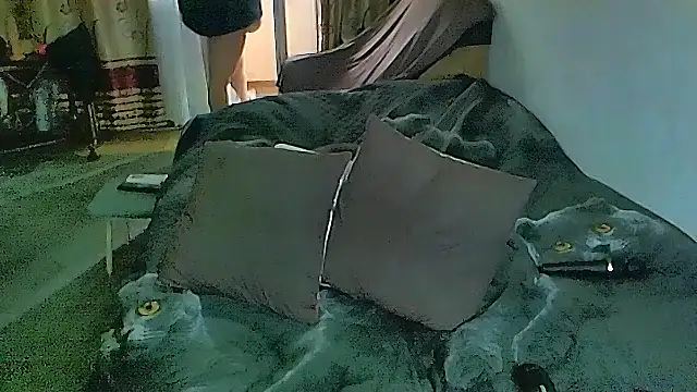 Chat +18 de sex2 ao vivo