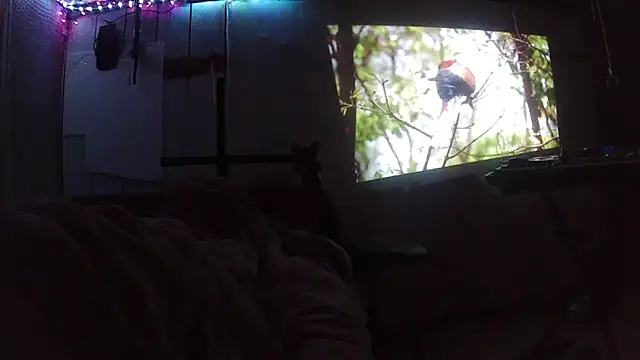 jaxx12369 现场XXX聊天