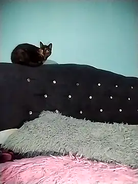 Živý XXX chat Ariell_Kieran