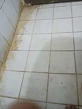 Stallionbull37 Webcam show