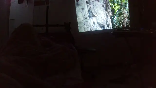 jaxx12369 élő XXX-chatje