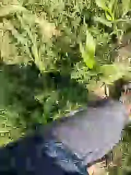 ThethunderPo – Live XXX-chat