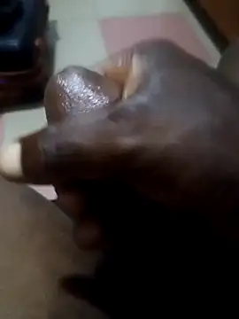 TICKDICK320 Show Webcam