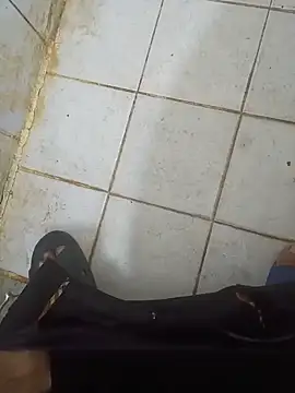 Stallionbull37 Webcam show