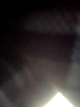 Pallu_Asha Live XXX-Chat