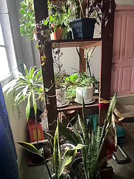 Вебкам-шоу Lust_guy27