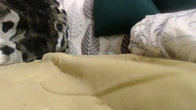 Živý XXX chat Nellybba