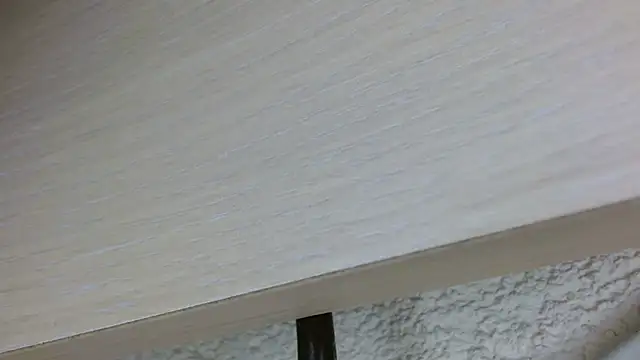 nass21cmm ওয়েবক্যাম শো