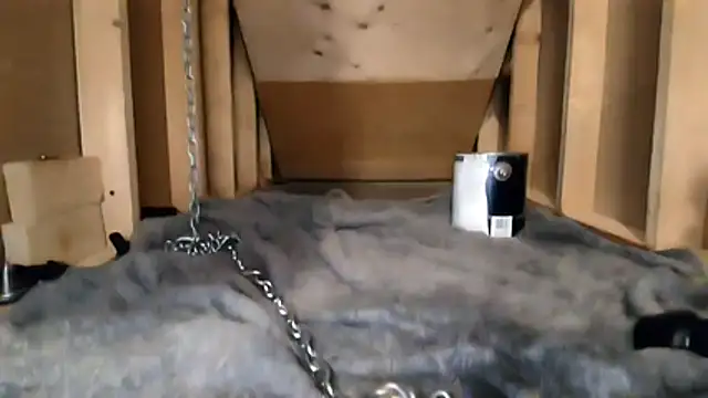 cbtbetaloser: διαδικτυακό σόου στην κάμερα