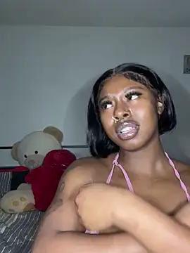 Show webcam de TinyBlazian901