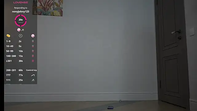 Webkamerová show Vika54784