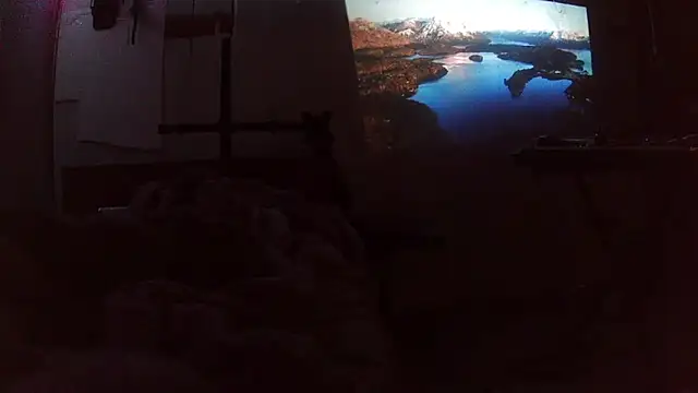 jaxx12369 Live XXX Chat