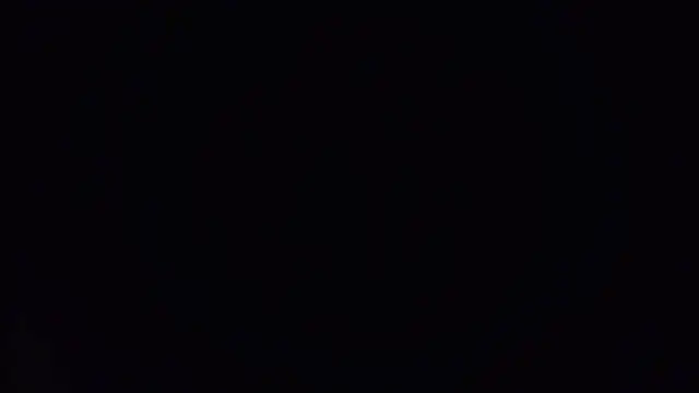 Show de webcam de k-dong