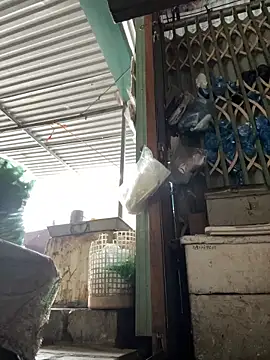 YANINA120 Live XXX-Chat