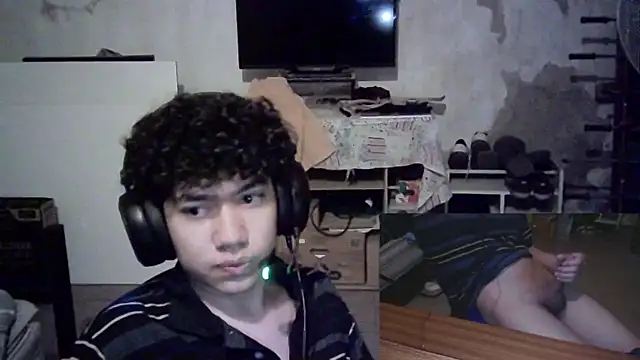 Show modela Emv2 na web-kameri