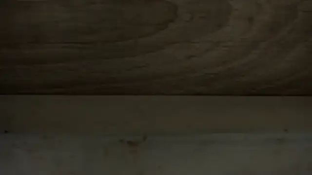 TylerDluccan Webbikameraesitys