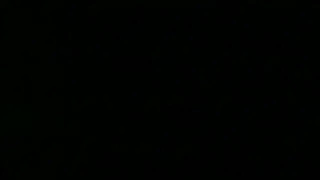 TheSexLegend Adlı Modelin Web Kamerası Şovu