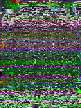 دردشة Cameelia الجنسية المباشرة