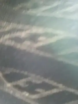 Too_fresh webcam show