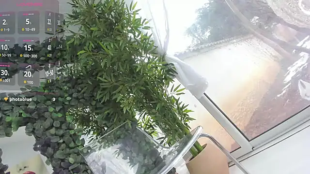 Lexi_Storm 라이브 XXX 채팅