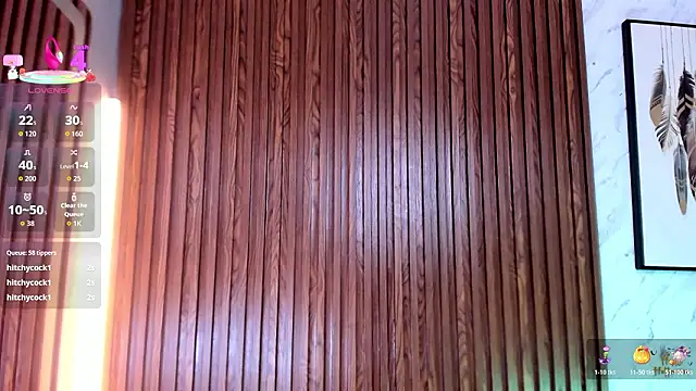 AndyBlake_ Show Webcam