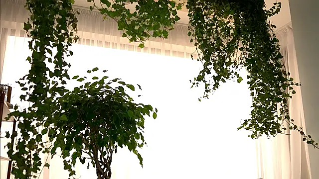 TheMaddisonShow_ Webcam show