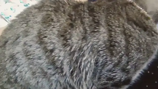 beautylovessn Live XXX chat