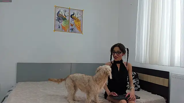 Webkamerová show NovaStep