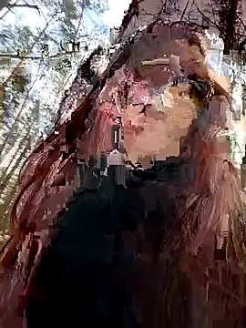 Živý XXX chat lleisa