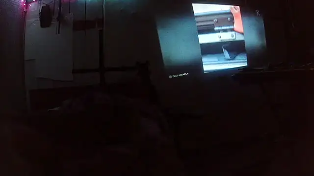 jaxx12369 élő XXX-chatje