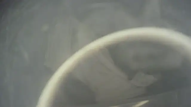 HeyyImHarlowe 现场XXX聊天