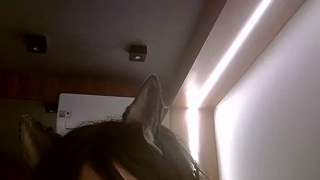 Show de SkinnyKitten na webcam