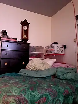 โชว์เว็บแคมของ bimexpoexist